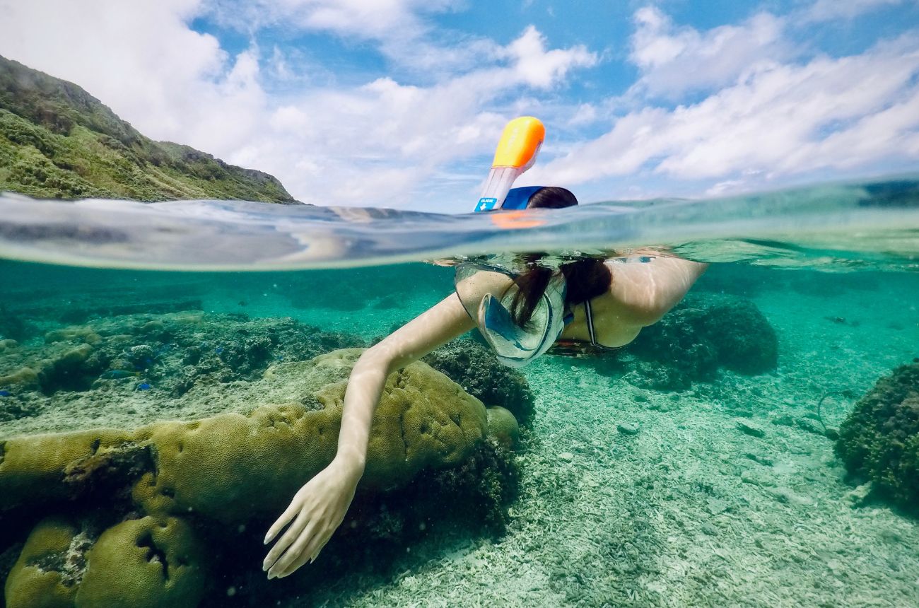 Descripción de la imagen